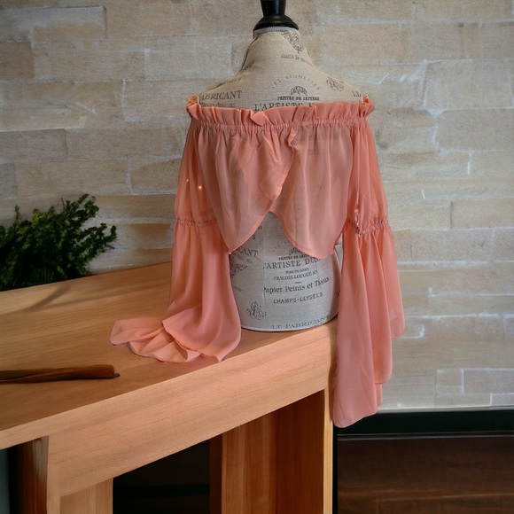 Feel beautiful in this romantic ruffled semi-sheer and feminine peach blouse - Picture 8 of 16